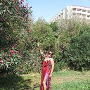 ���� �����, �������, 66 ��� - ��������� 15 �������� 2015 � ������ �������� 2015�