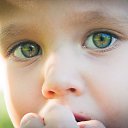 ���� ��������, ������ - ��������� 23 ������� 2015 � ������ ���� ����������