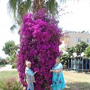 ���� ��������, �������, 69 ��� - ��������� 13 �������� 2015 � ������ ���� ����������