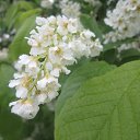 ���� ������� (70), �������� - ��������� 7 ���� 2015 � ������ ���� ����������