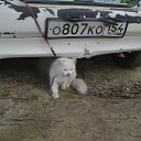 ���� ������, ����������� - ��������� 15 ��� 2015 � ������ ������