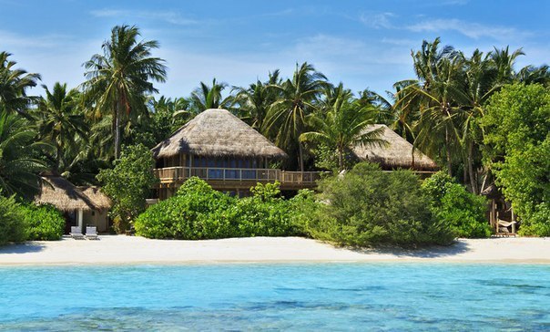  Soneva Fushi  . !