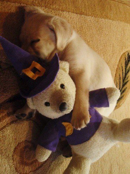  - 18  2015  15:28 - 3