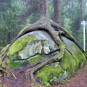 ���� ���, �����-���������, 34 ���� - ��������� 28 ���� 2015 � ������ ���� ����������