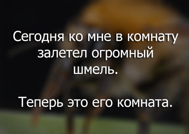 Современный социальный плакат. Теперь это его комната. Теперь у меня 2 кота. Там был паук. В комнату залетел шмель.