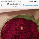 ���� �������, �����-��������� - ��������� 11 ��� 2015