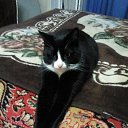 ��� ������� ������� �� ������� ���� ����������