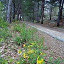  , , 60  -  7  2015       04.05.15.