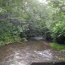 ���� �������, �������, 74 ���� - ��������� 4 ������� 2015 � ������ ����������