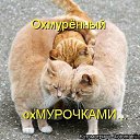 ���� ������, �������������, 61 ��� - ��������� 17 �������� 2015 � ������ ���������