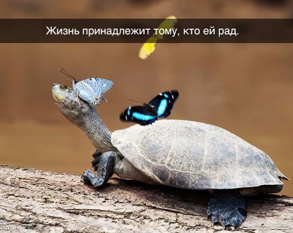 BEST | , ,  - 29  2015  07:00