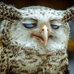 ���� ����, ����� - ��������� 23 ��� 2015