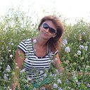 ���� �������, �����-��������� - ��������� 4 ��� 2015 � ������ ���� ����������