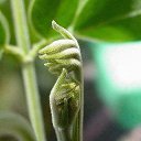 ���� ������, ������, 50 ��� - ��������� 30 ���� 2015 � ������ ������ ��������