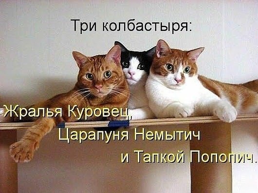 ��������� - 18 ���� 2015 � 09:10