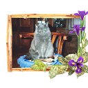 ���� �������, ������ - ��������� 3 ���� 2015 � ������ ���� ����������