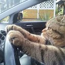 ���� ������, ����� - ��������� 10 �������� 2015 � ������ ���� ����������