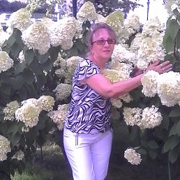 ***����***, ���, 64 ����