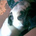 ���� ����, ���������, 60 ��� - ��������� 21 �������� 2015 � ������ ���� ����������