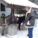 ���� �����, ������, 63 ���� - ��������� 19 ������� 2015 � ������ ��� �����������.�