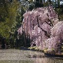 ���� ����, ������ - ��������� 19 ��� 2015 � ������ ���� ����� ��������