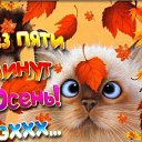 ���� ���, ��������� - ��������� 17 ������� 2015 � ������ ������ ��������