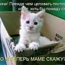 ���� ����, �����, 74 ���� - ��������� 6 �������� 2015 � ������ ������ ��������