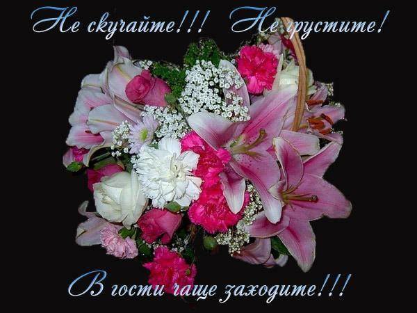 ��������� ���������� - 6 ���� 2015 � 19:31