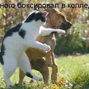 ���� ������, ������, 45 ��� - ��������� 29 ���� 2015 � ������ ������ ��������