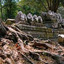 ����� �� ������� ���������