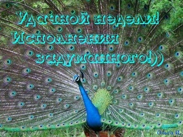 ������� - 31 ������� 2015 � 10:11