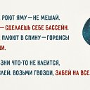���� �������, ������������, 56 ��� - ��������� 25 ���� 2015 � ������ ���� ����������