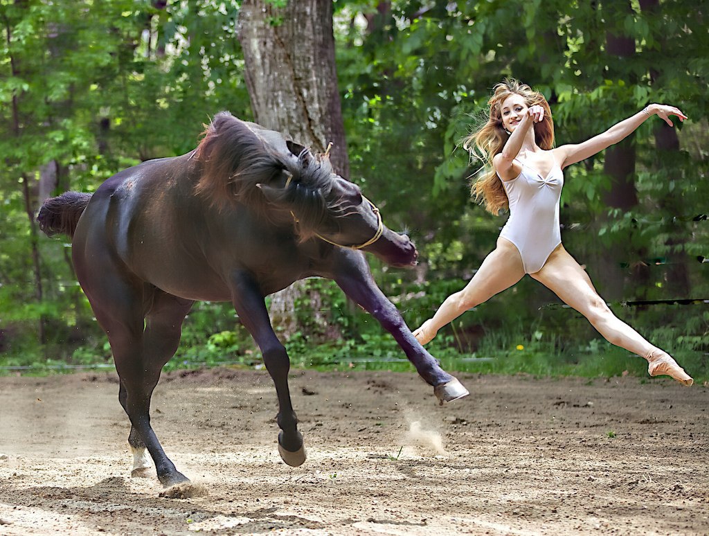 Девушка на коне. Кобылы женщины. Смешная лошадь. Девушка с лошадью смешно.