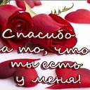 ���� �������, �������, 69 ��� - ��������� 20 ���� 2015 � ������ �������� ��������