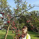 ���� ����, �����, 63 ���� - ��������� 14 ��� 2015 � ������ ���� ����������