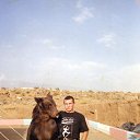 ���� �������, �������, 51 ��� - ��������� 12 ���� 2015 � ������ ���� ����������