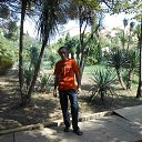 ���� �����, �������, 33 ���� - ��������� 23 ������ 2015 � ������ ���� ����������