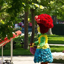 ���� ������, ������������ - ��������� 16 ���� 2015