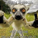 ���� (���������), ������ - ��������� 6 ������� 2015 � ������ ������ ��������