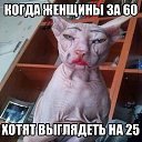 ���� ����, ����, 53 ���� - ��������� 15 ��� 2015 � ������ ���� ����������