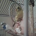 ���� ���, ����� - ��������� 20 ���� 2015 � ������ ���� ����� � �����������!�