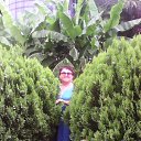 ���� �����, ���� - ��������� 27 ���� 2015 � ������ ��������� 2014�����