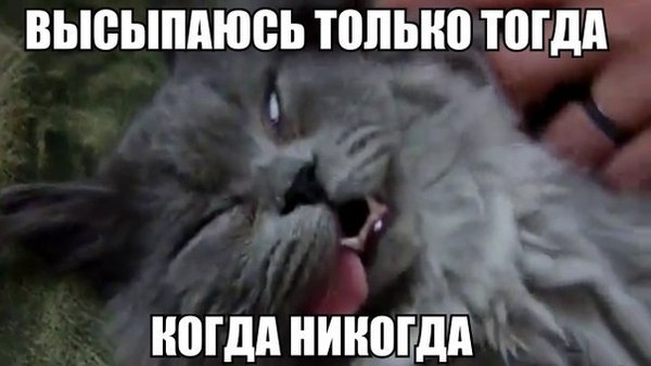      - 17  2015  15:03