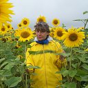 ���� �����, ������, 66 ��� - ��������� 22 ������� 2015 � ������ ���� ����������