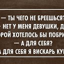 ���� Shell, ������ ��������, 40 ��� - ��������� 25 ���� 2015 � ������ ������ ��������