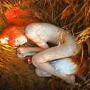 ���� �����, ������������, 53 ���� - ��������� 14 ���� 2015 � ������ ��������-����