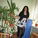 ���� ����, ��������, 43 ���� - ��������� 23 ������� 2015