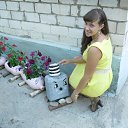 ���� ����, ��������, 27 ��� - ��������� 9 ������� 2015