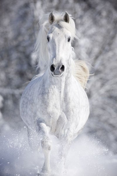 |В| Счастье есть... |В| - 10 августа 2015 в 21:29 - 5