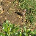 ���� ����, ������, 57 ��� - ��������� 2 ������� 2015 � ������ ���� ����������